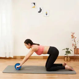 CorePro Elite Ab Roller – Professional Strength Training with Knee Mat - (Blue & Black)